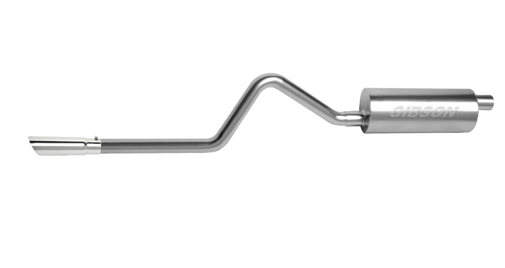 Cat-Back Dual Split Exhaust System T2227