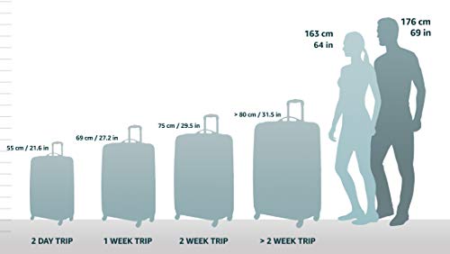 Black Large Upright Wheeled Carry-On Y384