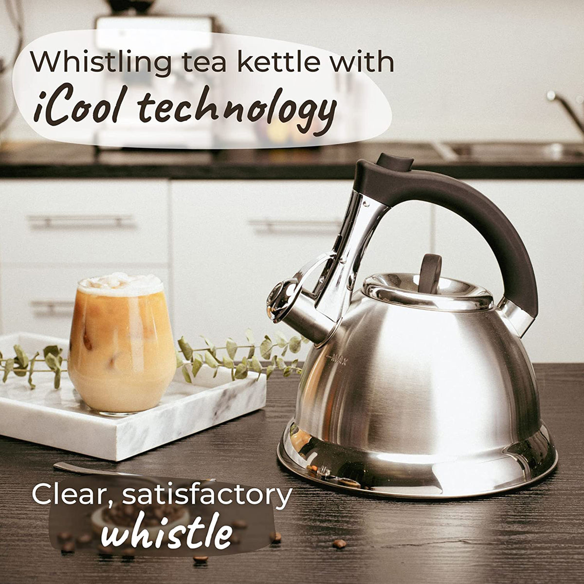 Silver Stainless Steel Whistling Tea Kettle with Handle and 2 Infusers W127
