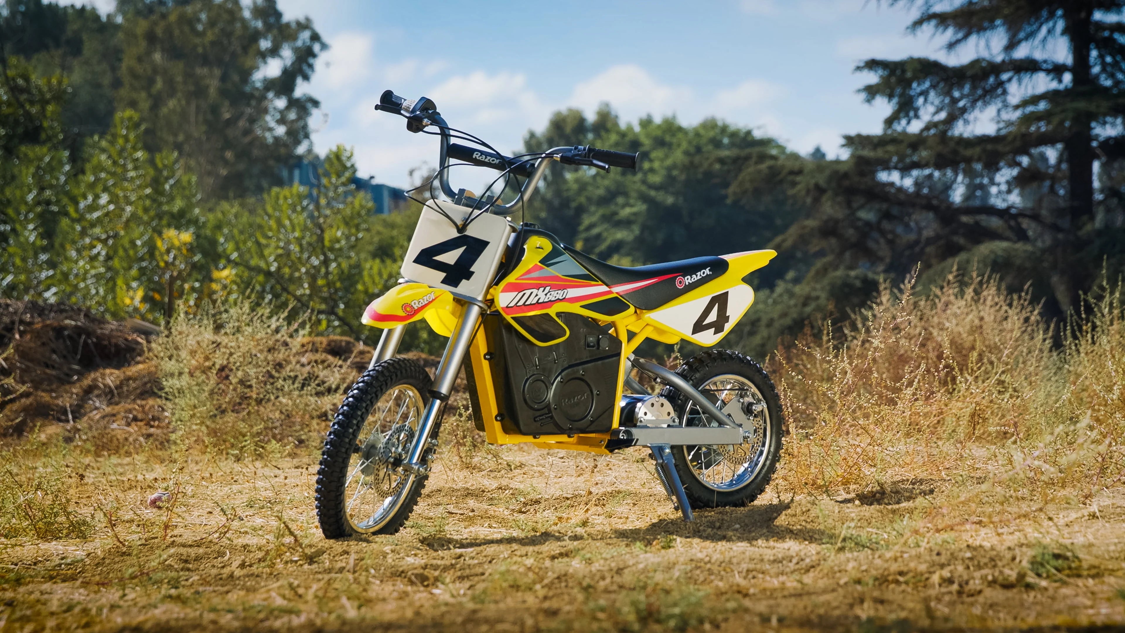 36V Electric-Powered Dirt Bike D814