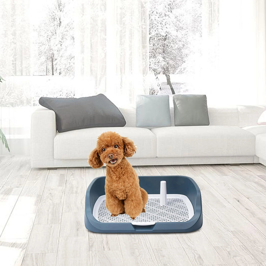 Light Blue Washable Dog Potty Tray J57207