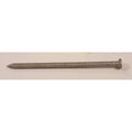 20D 4 in. L Hot-Dipped Galvanized Steel Ring Shank Flat Nails 50 lb. P73651