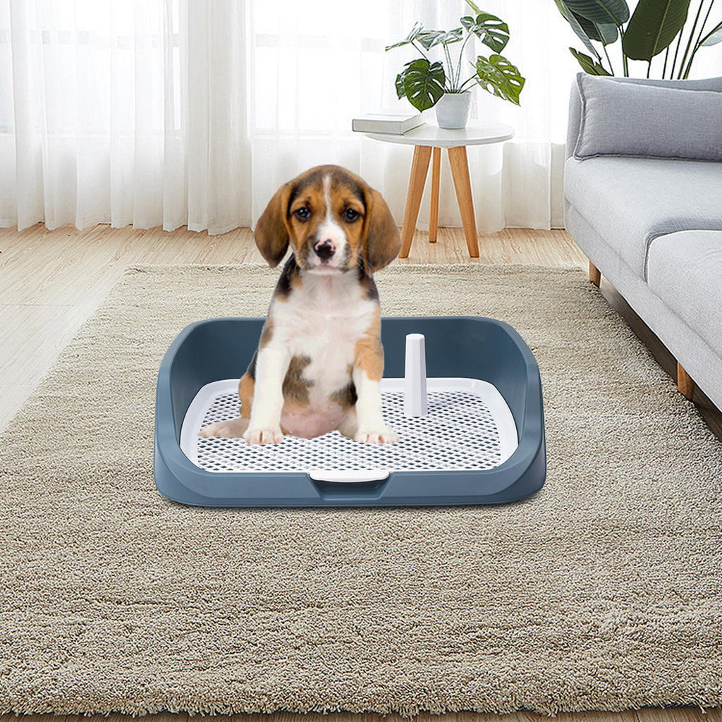 Light Blue Washable Dog Potty Tray J57207