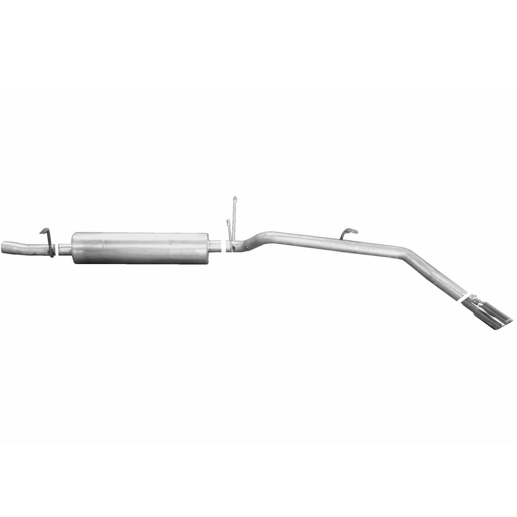 Cat-Back Dual Split Exhaust System T2227