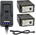 LED Super Fast Charger & Camcorder Battery X2 Z57184
