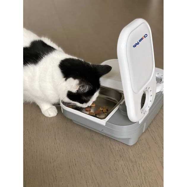 Automatic Pet Feeder with Stainless Steel Bowl Inserts K975389