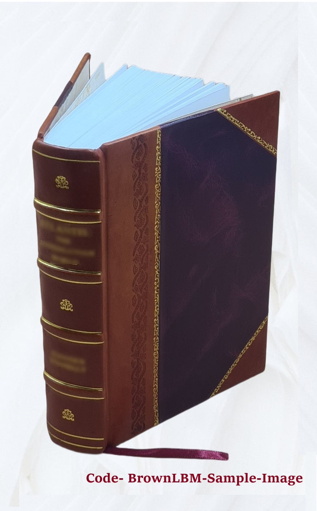 Diccionario nuevo y completo de las lenguas española è inglesa, inglesa y española C367462