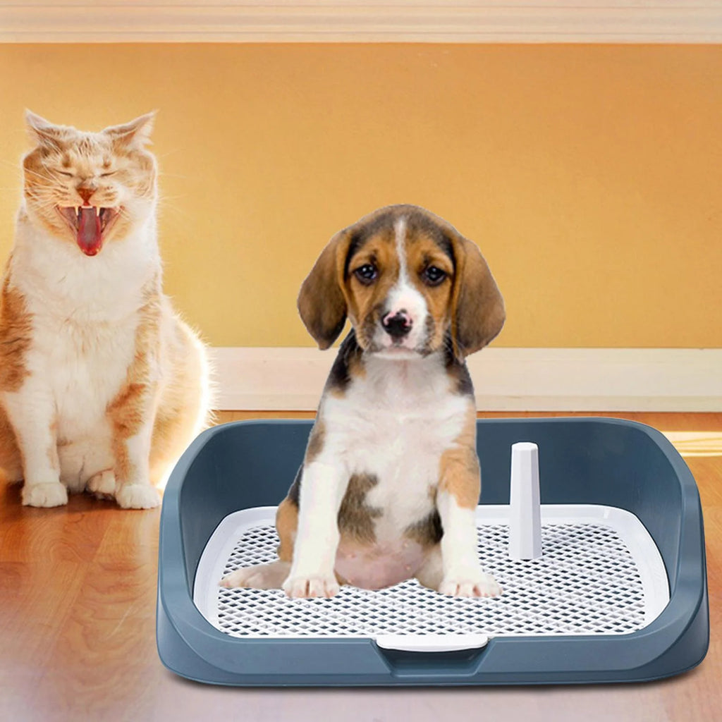 Light Blue Washable Dog Potty Tray J57207
