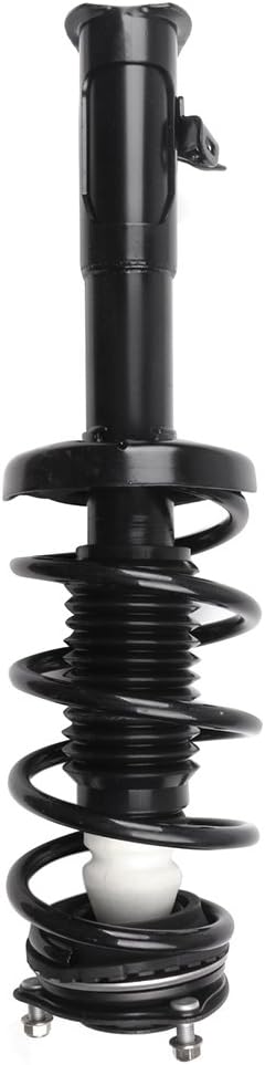 Front Pair Complete Struts Assembly Shock Absorber N549