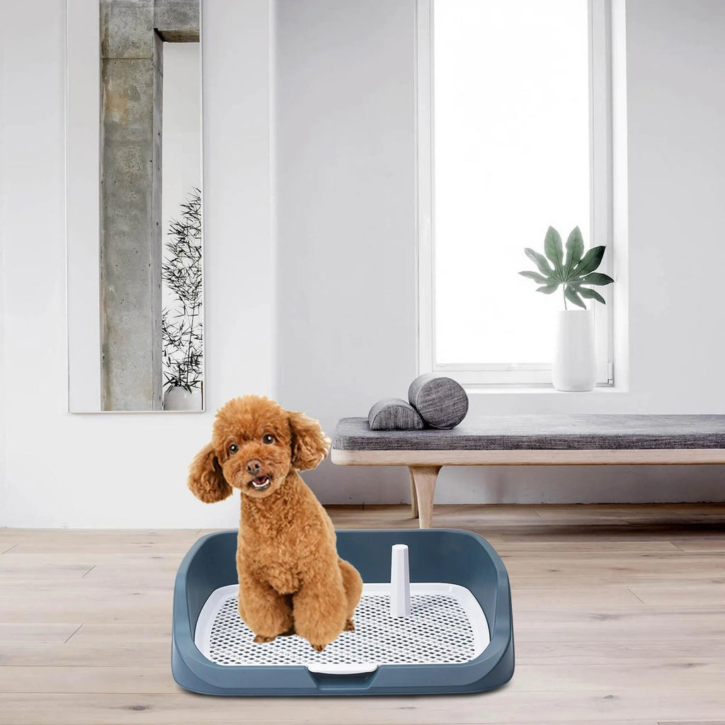 Light Blue Washable Dog Potty Tray J57207