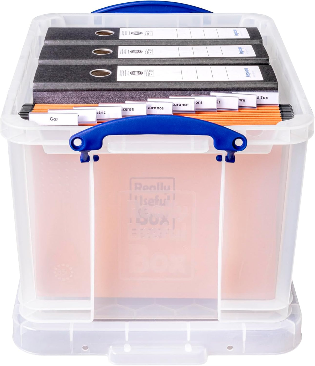 35 Litre Clear Storage Box with 2 Dividers M627