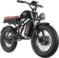 Dual Motor Dual Battery 2000W 48V 40Ah 55Ah 20"x4.0" Fat Tire Electric Bike J91317