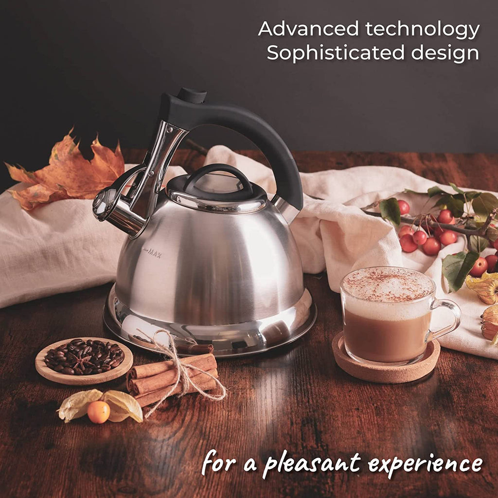 Silver Stainless Steel Whistling Tea Kettle with Handle and 2 Infusers W127
