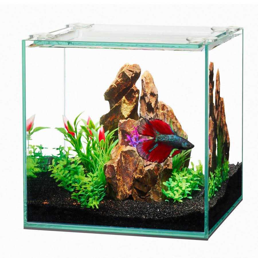 Frameless Cube Aquarium E237