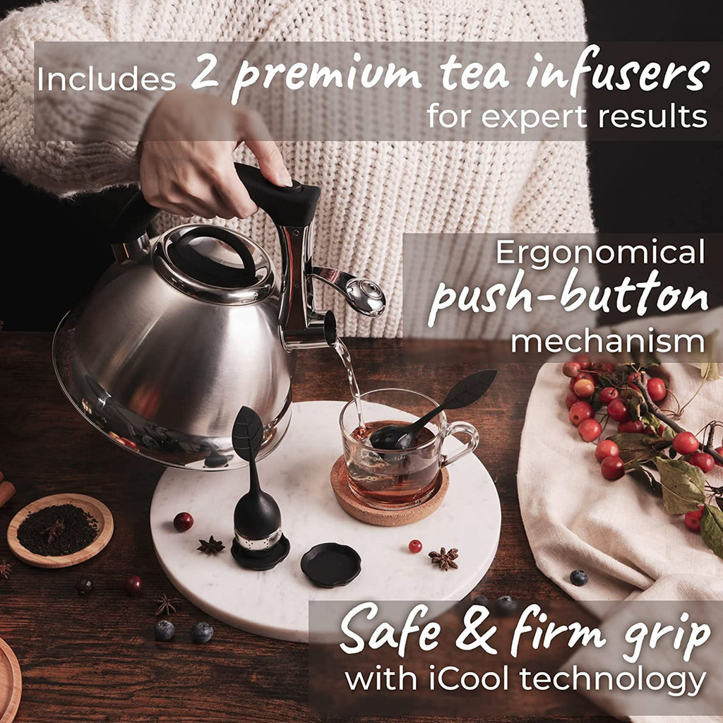 Silver Stainless Steel Whistling Tea Kettle with Handle and 2 Infusers W127