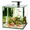 Frameless Cube Aquarium E237