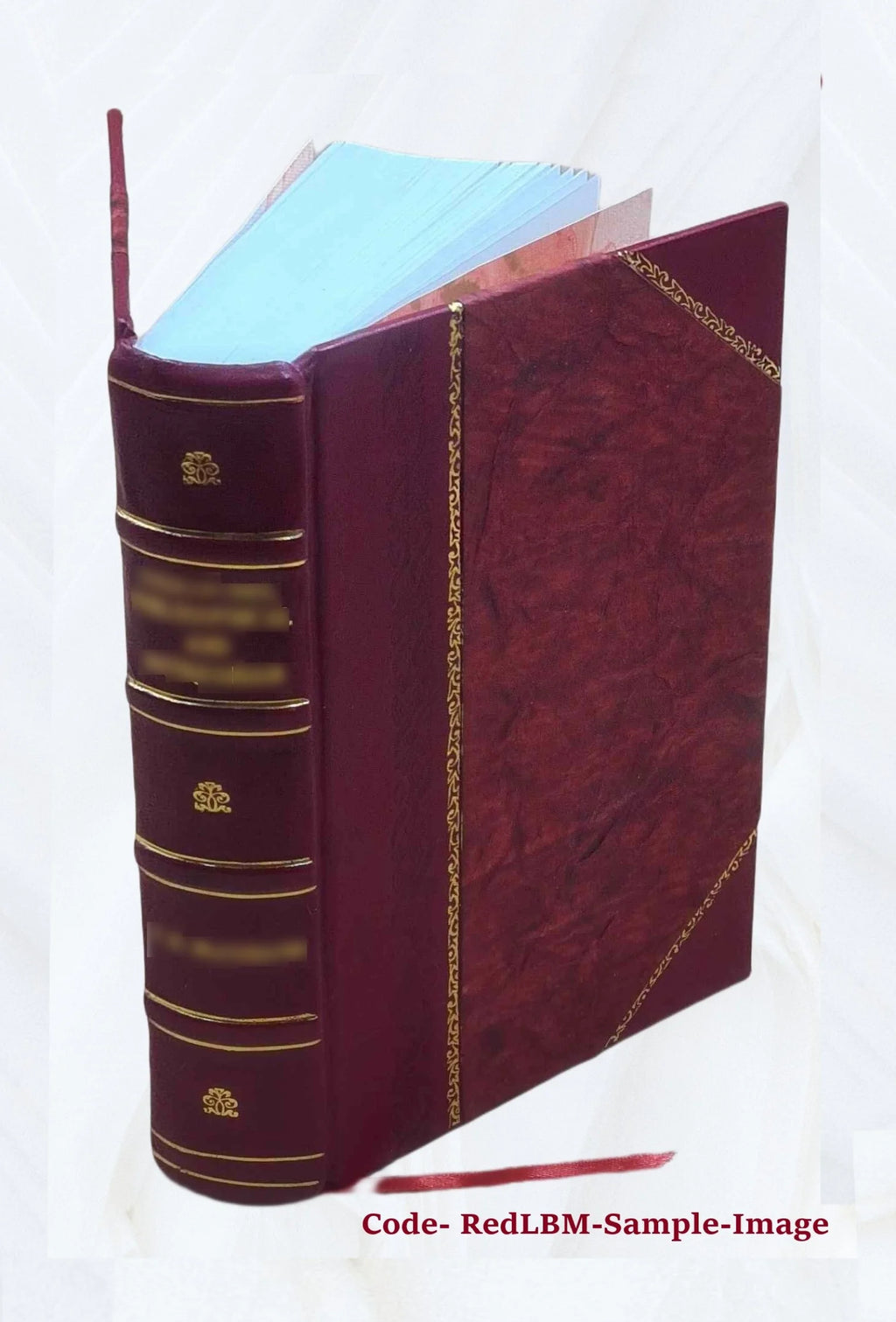 Diccionario nuevo y completo de las lenguas española è inglesa, inglesa y española C367462