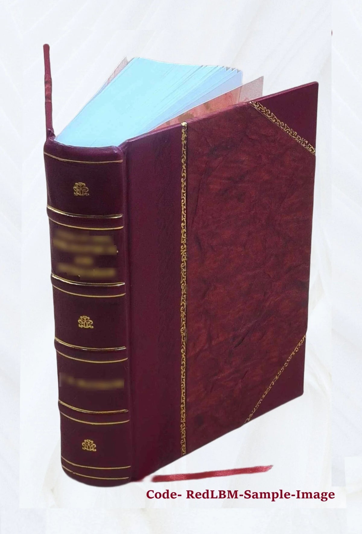 Diccionario nuevo y completo de las lenguas española è inglesa, inglesa y española C367462