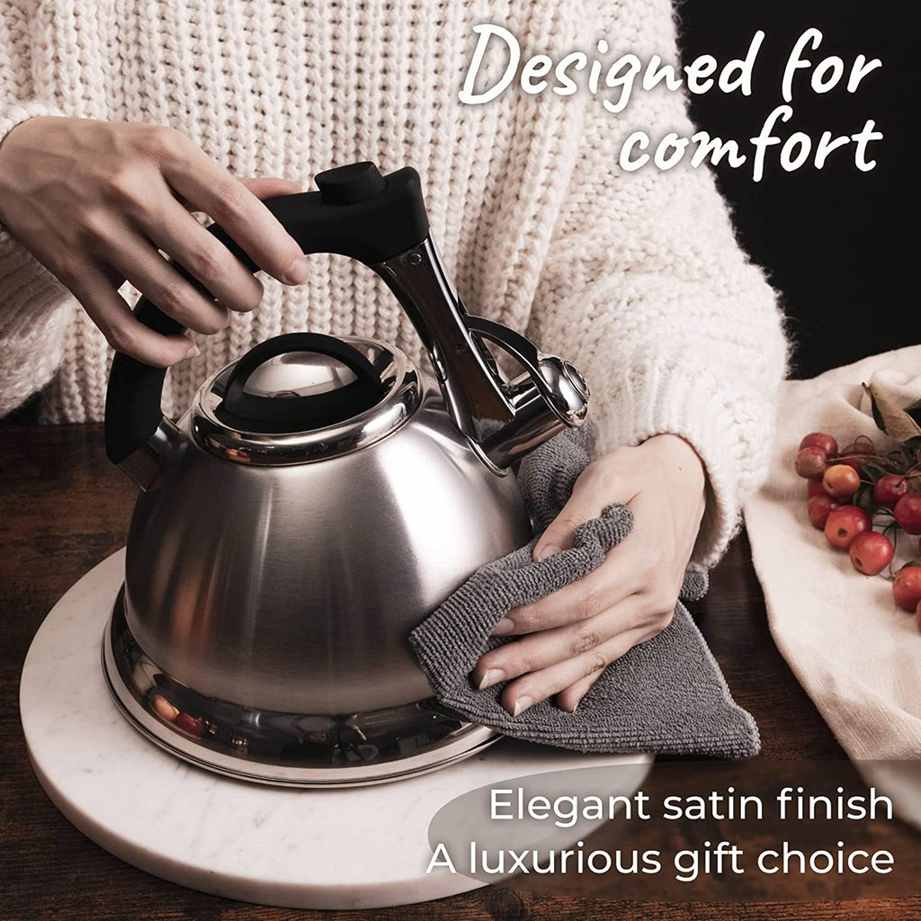 Silver Stainless Steel Whistling Tea Kettle with Handle and 2 Infusers W127