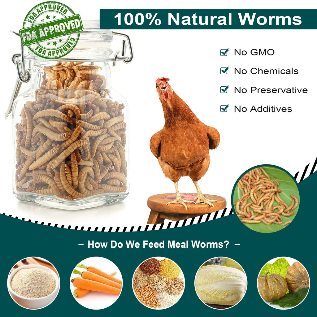 11LB Non-GMO Dried Mealworms M33272