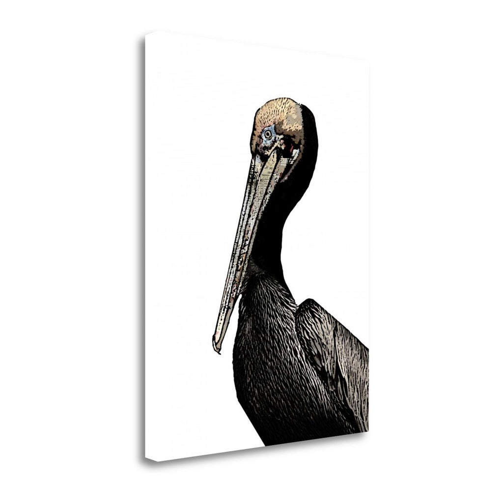 Brown Pelican Giclee Print S129395