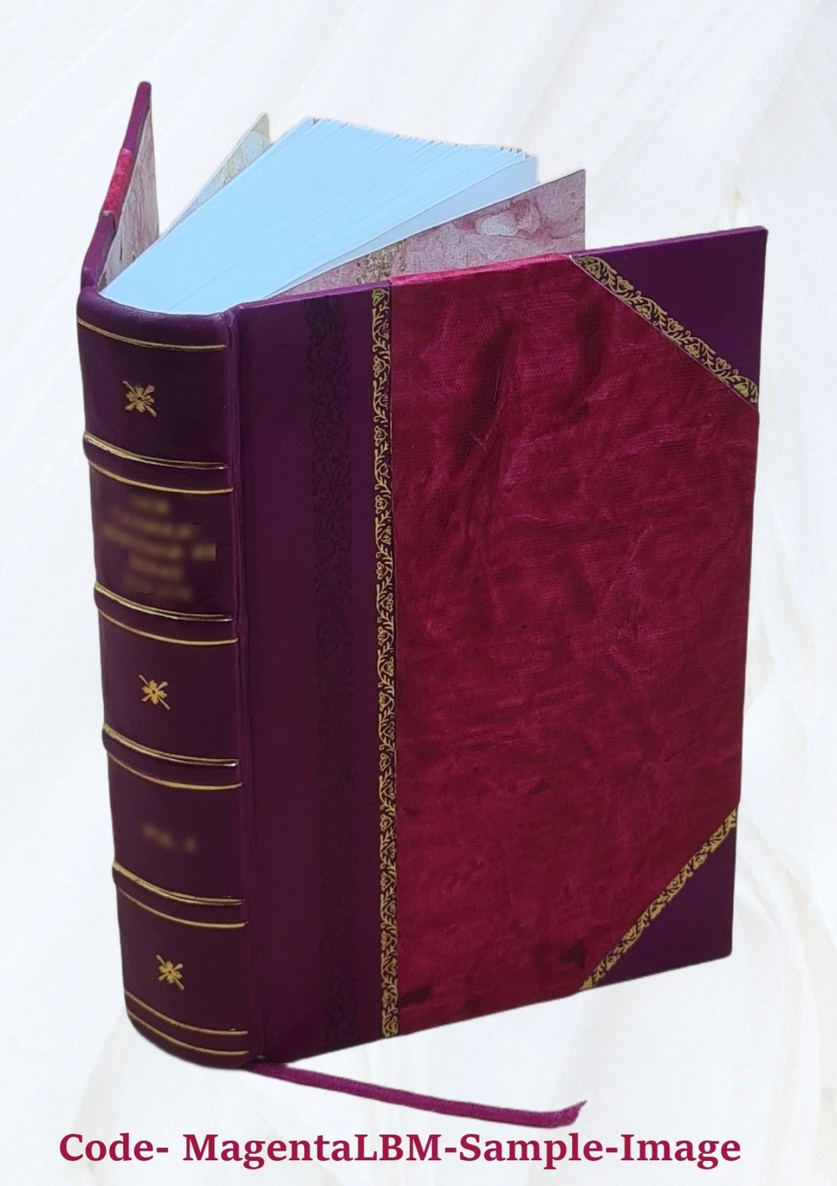 Diccionario nuevo y completo de las lenguas española è inglesa, inglesa y española C367462