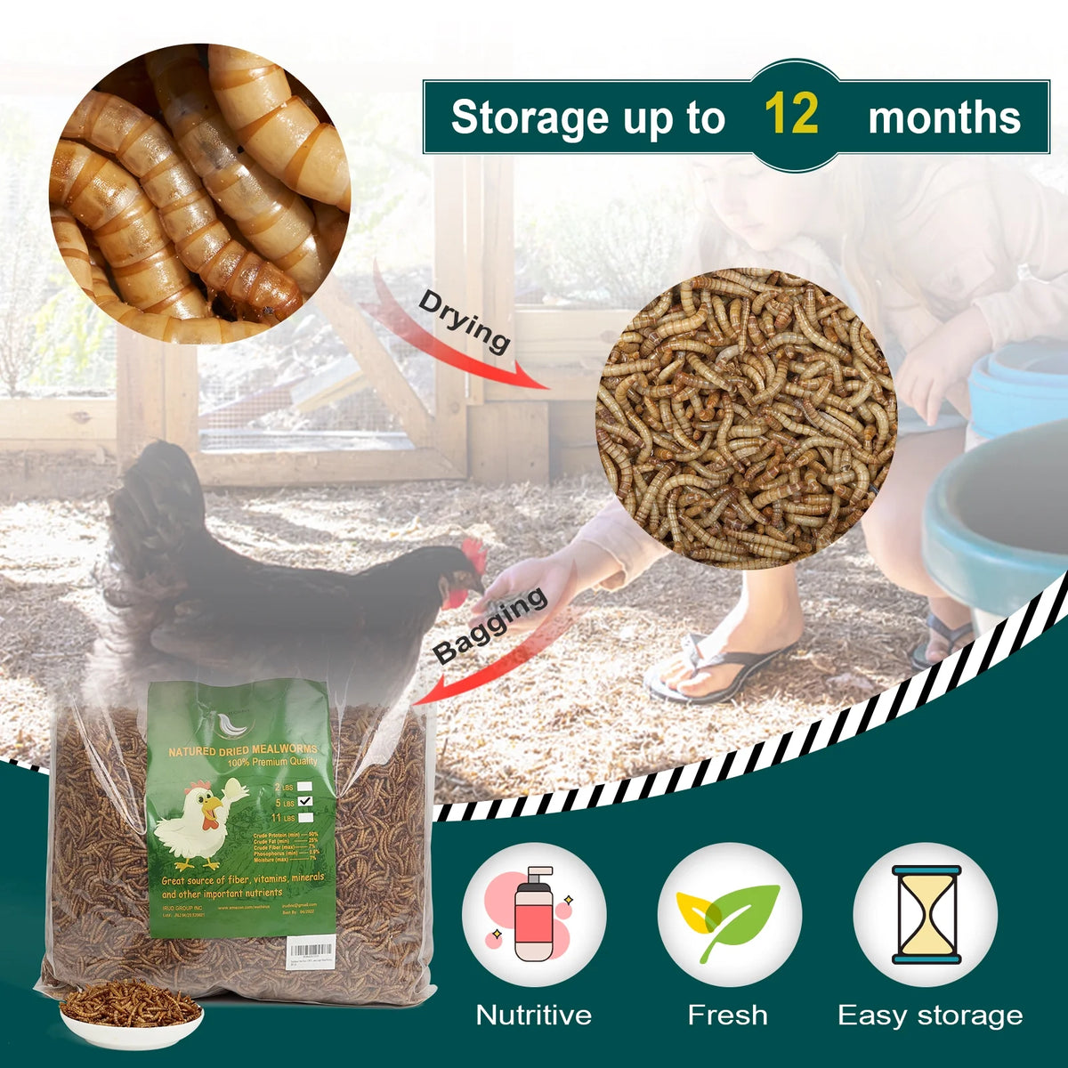 11LB Non-GMO Dried Mealworms M33272