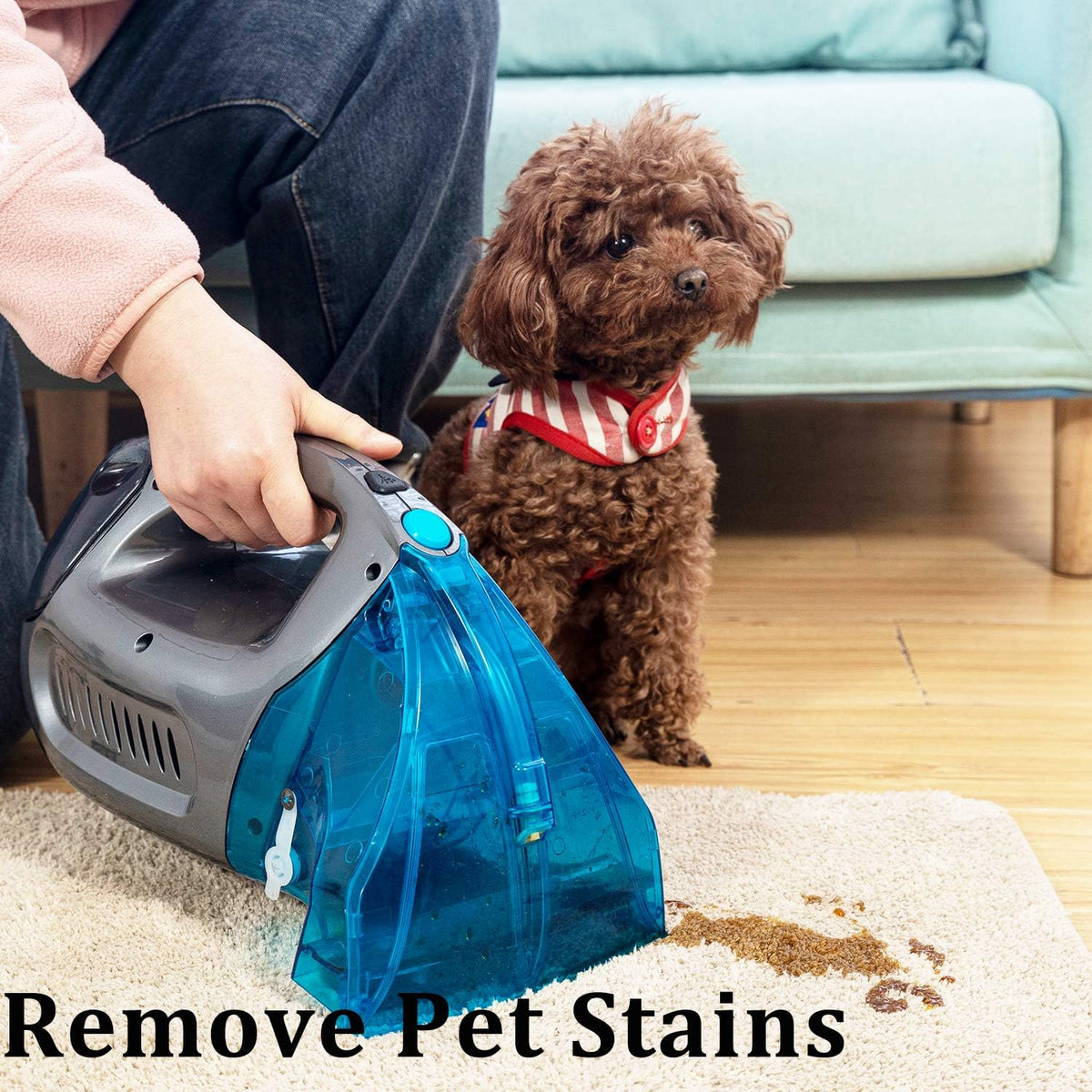 Pet Stain Eraser Carpet Cleaner Pack of 2 N751633